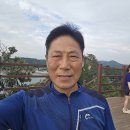 안면도의 홍련명소 이미지
