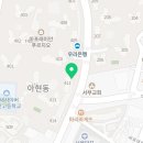 뉴고은머리