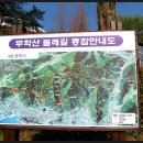 두척경로당 Daum카페