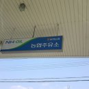 봉화농협주유소 이미지