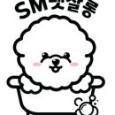 지나펫살롱 이미지