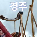 청소년수련관 공연장 | 경주월드 자유이용권 입장료 임산부 할인 놀이기구 관람차 드라켄