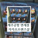 제주프렌즈 | 제주공항 면세점 카카오프렌즈샵 후기 🍊 라이언 덕후들의 성지!