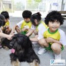 왜관초교(병설) 이미지