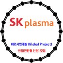 SK플라즈마 / 해외사업개발(Global Project) 신입(전환형 인턴) 모집 이미지