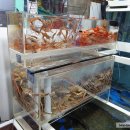 대모회센타 이미지