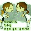 매일해피