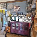 애견가을농장 | 대구 경산 강아지 미용,호텔 <애견가을농장>