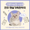 햇살가득약국 이미지