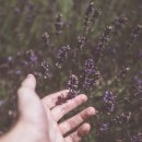 랩퍼스트 이미지