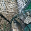 소양계곡낚시터 이미지