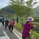 4월 26일 활동, 마을 주변 진입로 부근 잡초 제거하기 이미지