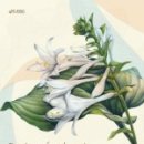 보태니컬아트(색연필그림) 이미지