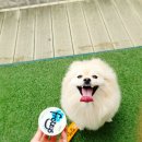 프로지스 이미지