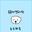솔솔애견유치원 네이버블로그