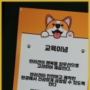 킹스키즈 개린이집 이미지