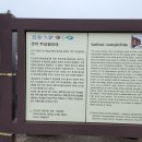 대포마을회 | 제주 갯깍주상절리대와 논짓물 해수풀장 후기! 서귀포 하예동 유명 해수풀장과 주상절리대! [이춘근...