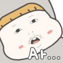 정찬홍웨딩 이미지