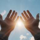 통합요양병원 | 광주요양병원후기, 암 재발이 두려울 때 미슬토요법이 하는 역할