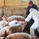 태만농장 이미지