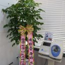 오케이신경외과 이미지