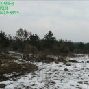 색달동-10 네이버블로그