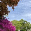 명산학원 | 아이들과 천안/아산 광덕산(석류봉) 봄 산행