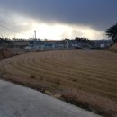 영광목장 이미지