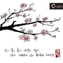거보디자인 이미지
