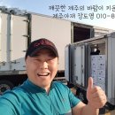 돼지소한마리 이미지
