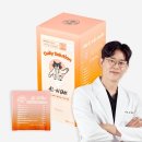 펠리스 이미지