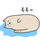 프라임성모내과 이미지