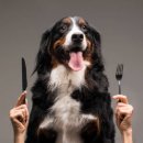 대한사료(주) 이미지