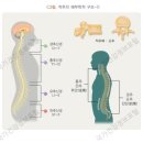몸편한보건안마원