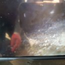 사파동204 이미지