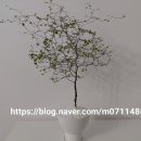 성북동-885 이미지