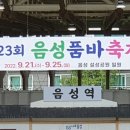 음성 품바 축제 이미지