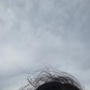 세븐일레븐 길동해그린점 | 강원도 동해 1박 2일 여행 : 대진해수욕장, 서퍼랑, 어달해변포차, 산호한식뷔페막국수, 동그라미해물집