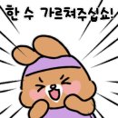 찐테니스 이미지