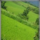 새마을주유소 이미지