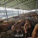 중우축산 이미지