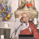 [황벽60]🌻 방편에 떨어지는 공부와 곧장 진실의 길, 이승과 일승 이미지