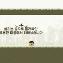 샐리의 법칙(sally´s law) 이미지