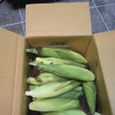 민생지원금 이미지