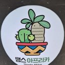 땡스아프리카 이미지