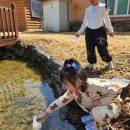 다송어린이집 이미지