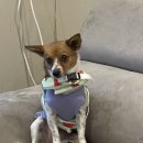 그랑모던풀빌라 이미지