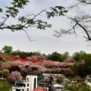 꽃동산분식