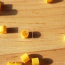 릴리네 애견미용실 | 노령견 미끄러짐방지 / 토그립 ToeGrips XS