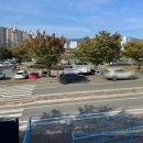 대구 동구 가볼만한 곳 금강역(폐역) 레일카페 기차카페 반야월연꽃마을 협동조합